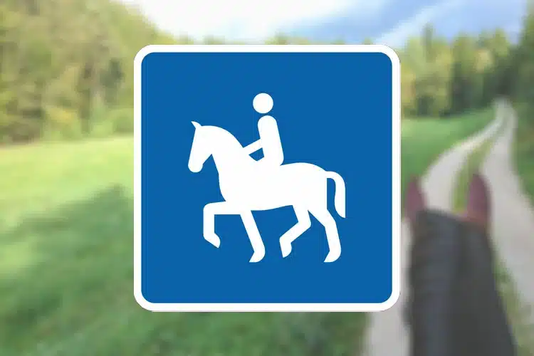 Seri Q Sign E21-3-V-Anbefalet-rute-for-ridende-venstrevendt