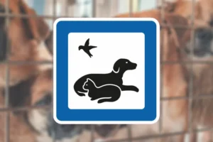 Seri Q Sign M124-Dyreklinik.--hospital.--internat.--pensionat.--handel-og-lign.