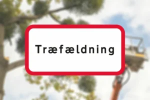 Seri Q Sign UA39-6-Træfældning